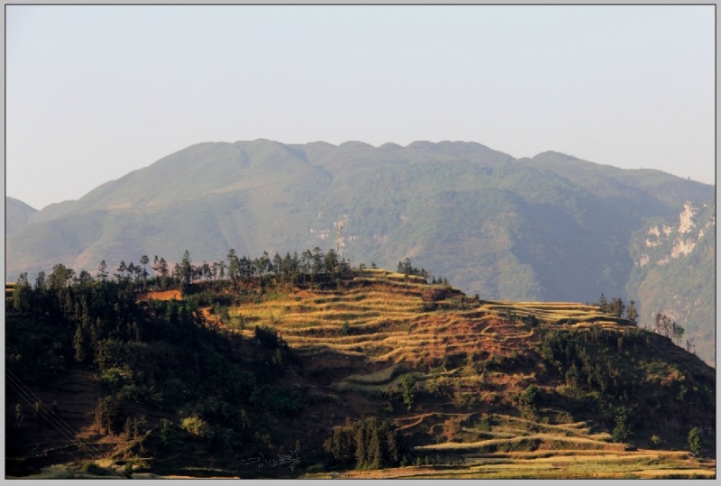 20110510-10.jpg