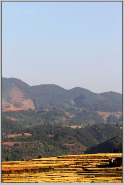 20110510-1.jpg