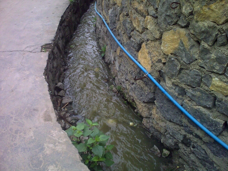 20110505119.jpg