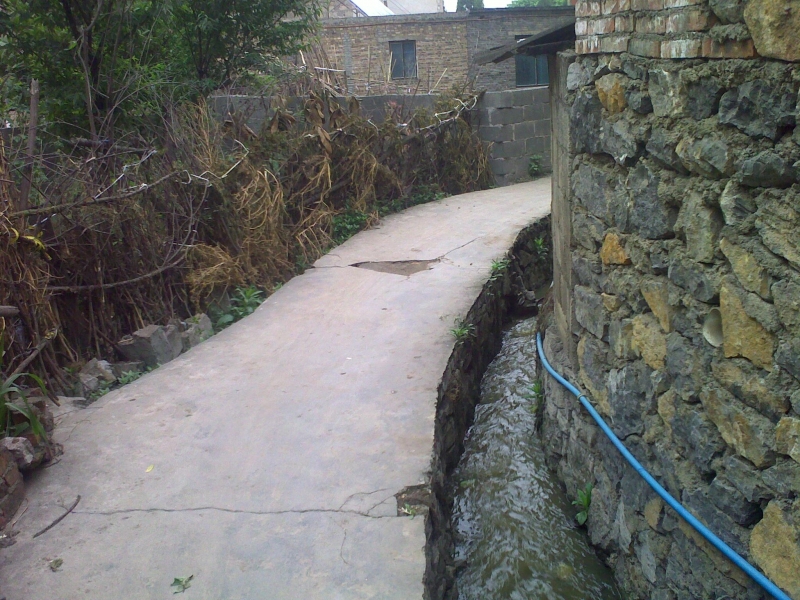 20110505120.jpg