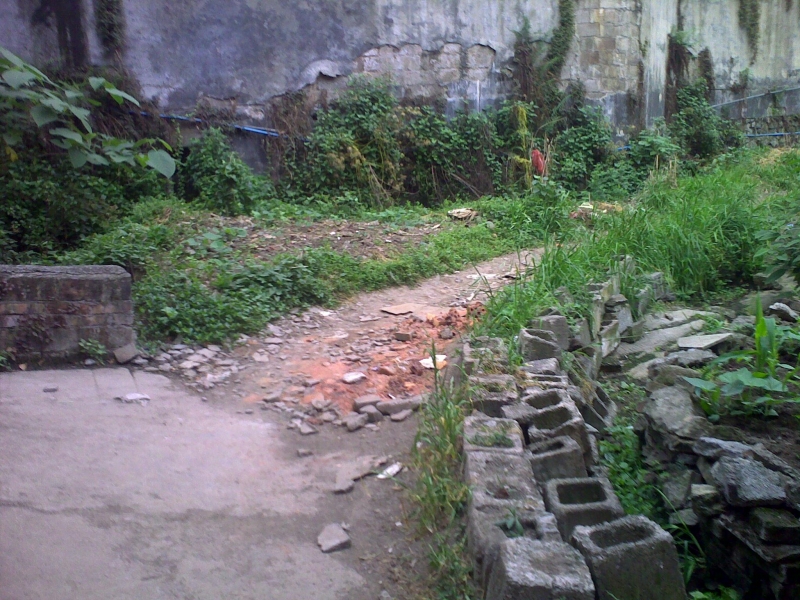 20110505126.jpg
