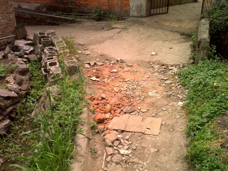20110505128.jpg