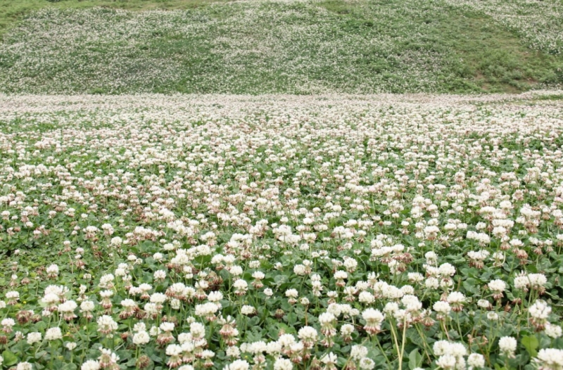 ˮ-6.jpg