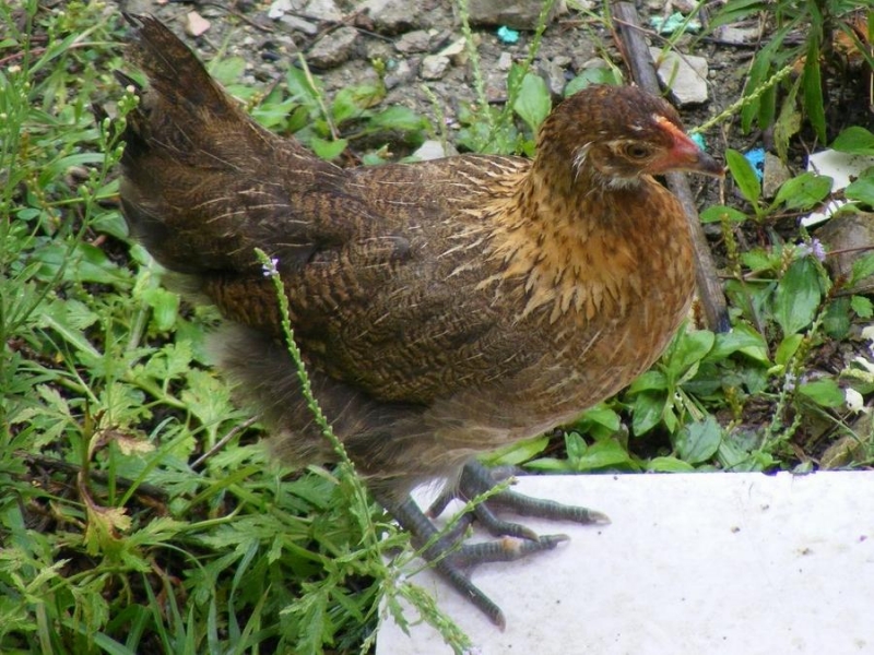 ĸ02.jpg