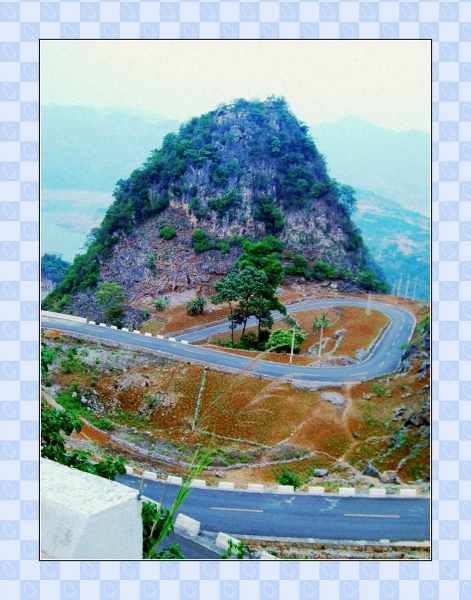 CIMG7049_conew1.jpg