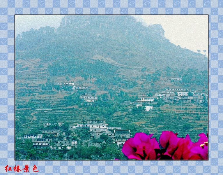CIMG7130_conew1.jpg