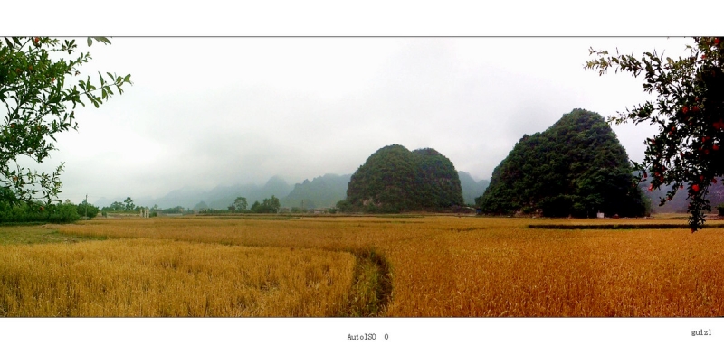 Ƭ 006.jpg