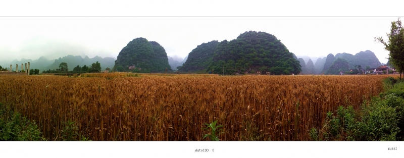 Ƭ 011.jpg