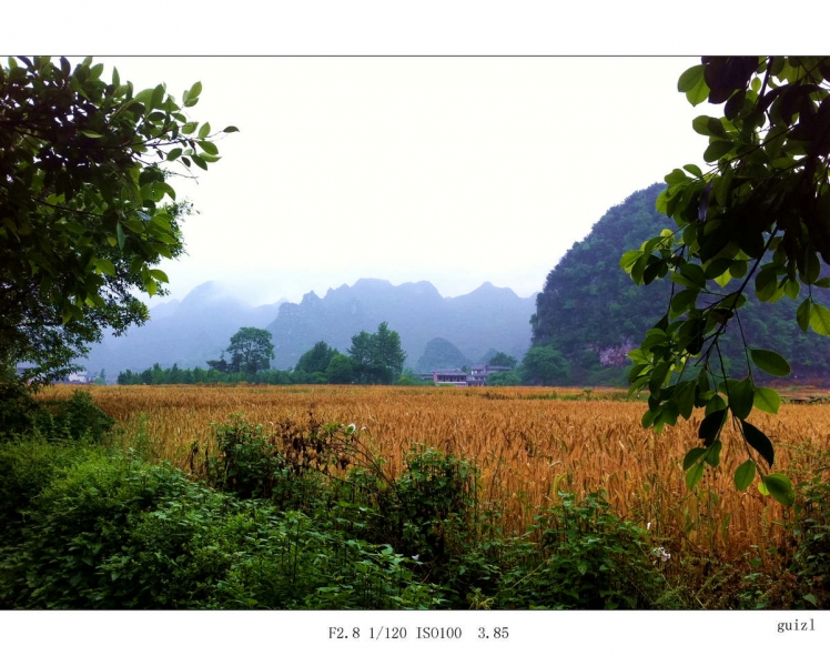 Ƭ 009.jpg