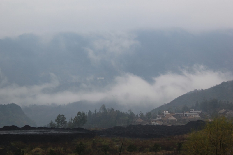 20110514-5.jpg