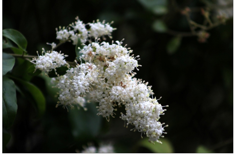 20110514-3.jpg
