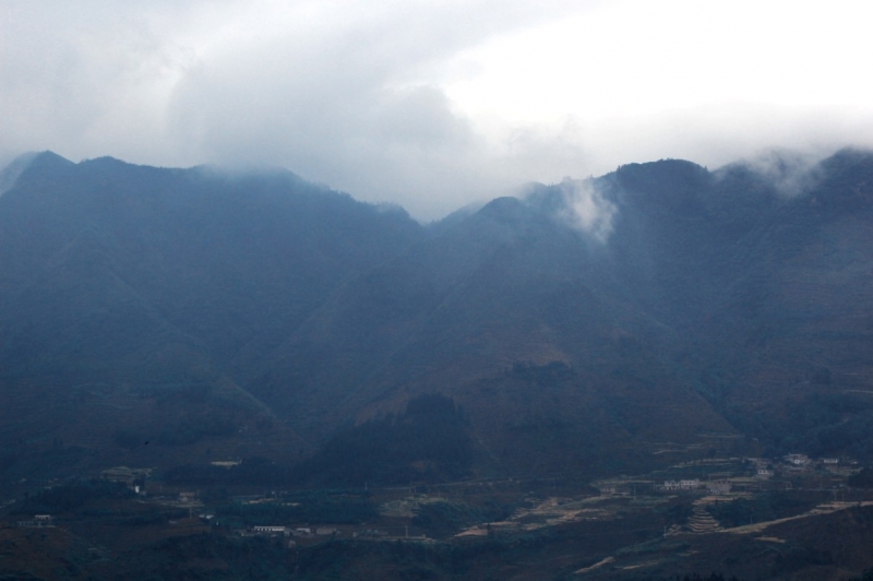 20110514-1.jpg