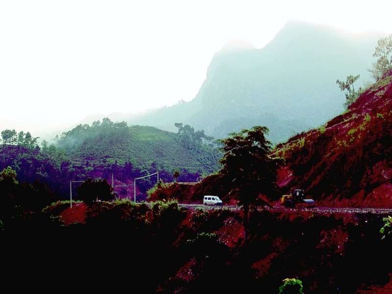 CIMG7464_conew1.jpg