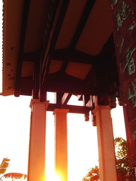 CIMG7479_conew1.jpg