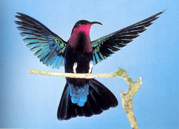 帥H  19021993 .jpg