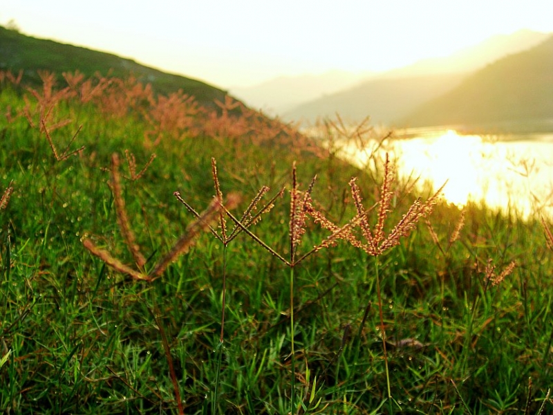 CIMG7772_conew1.jpg