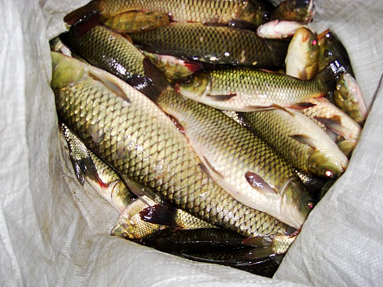 CIMG7863_conew1.jpg