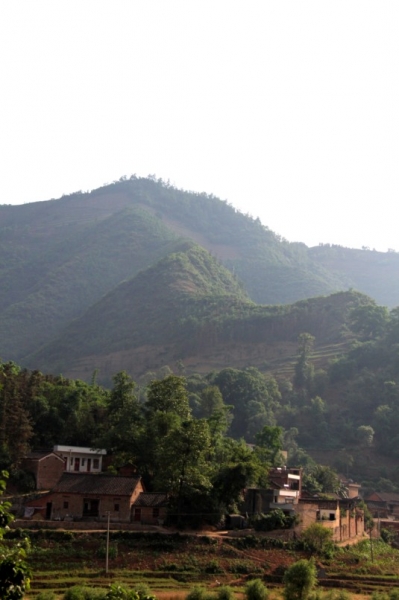 20110521-3.jpg