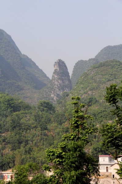 20110521-5.jpg