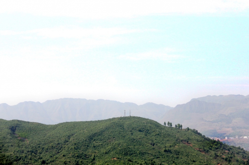 20110521-7.jpg