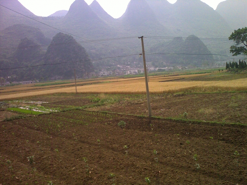 20110521157.jpg