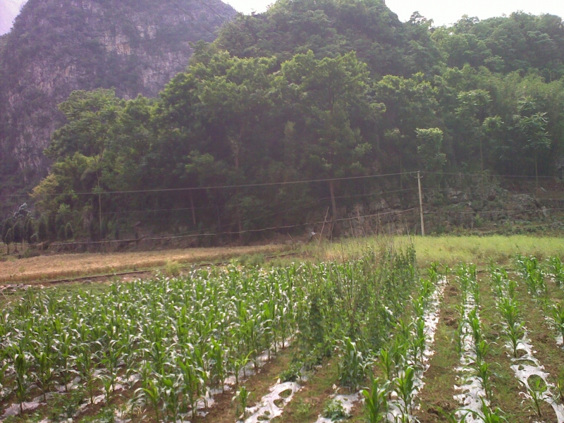 20110521158.jpg