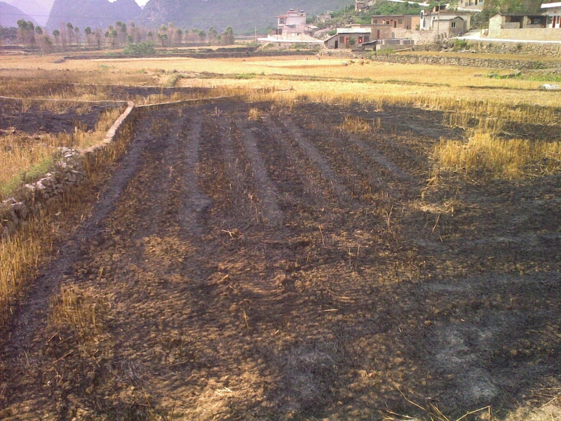 20110521163.jpg
