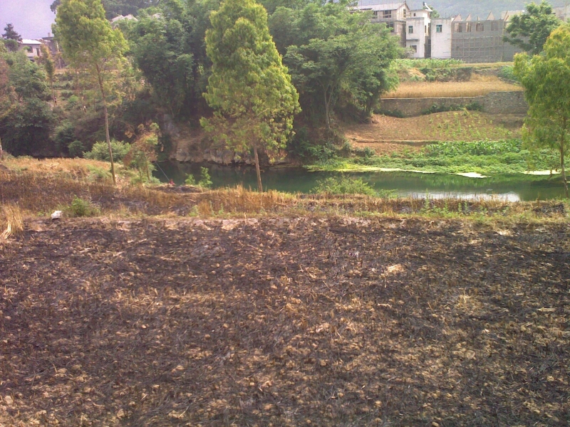 20110521165.jpg