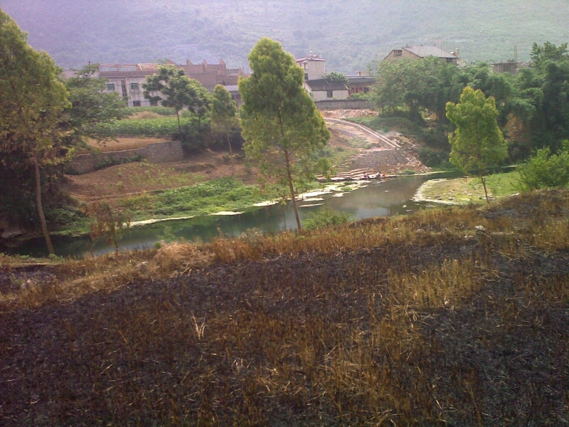 20110521166.jpg