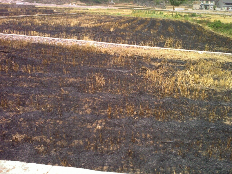 20110521169.jpg