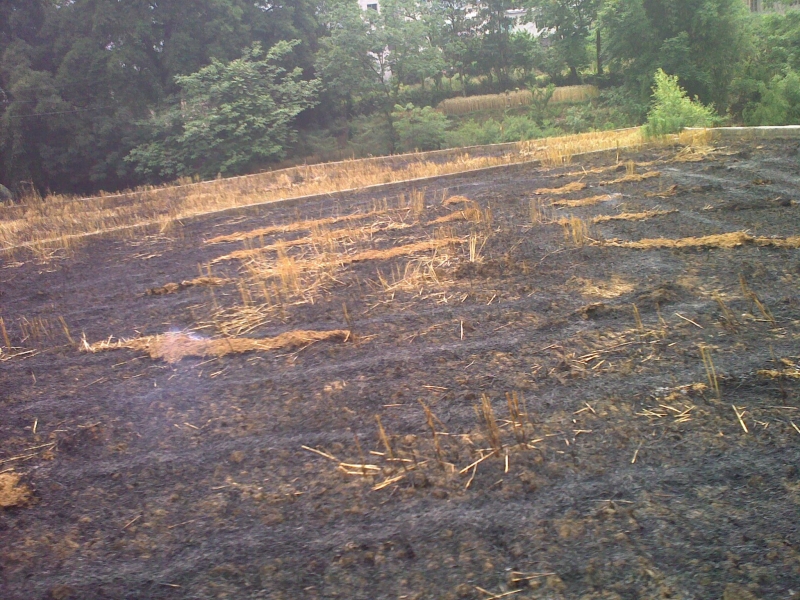 20110521170.jpg