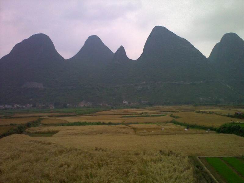 20110521185.jpg