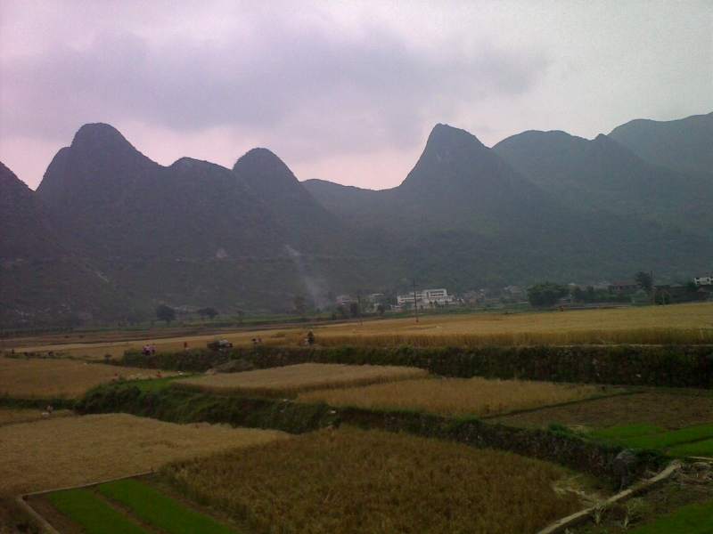 20110521186.jpg