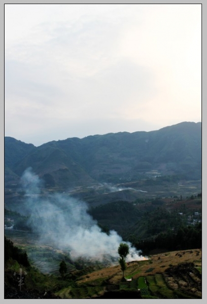 20110522-3.jpg
