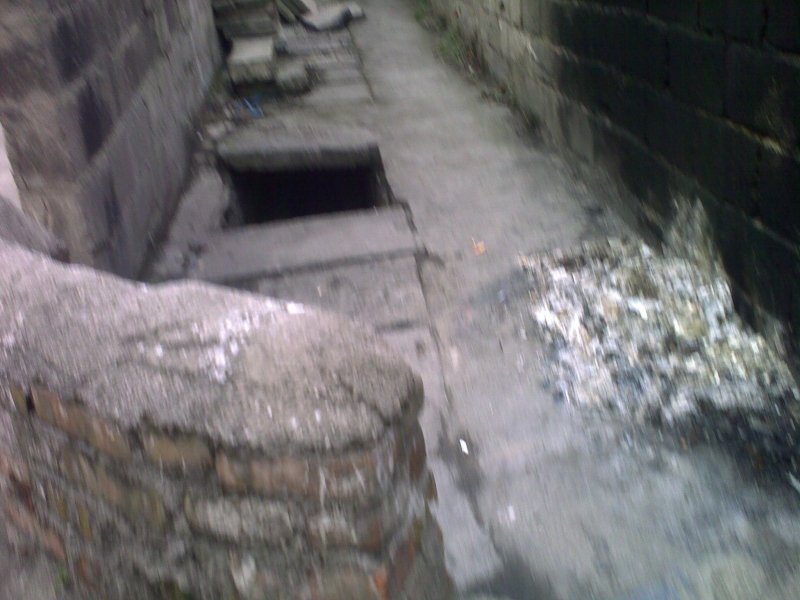 20110525212.jpg