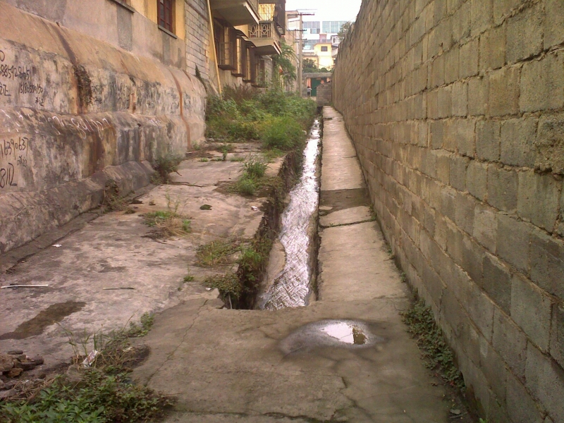 20110525214.jpg