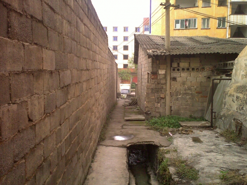 20110525216.jpg