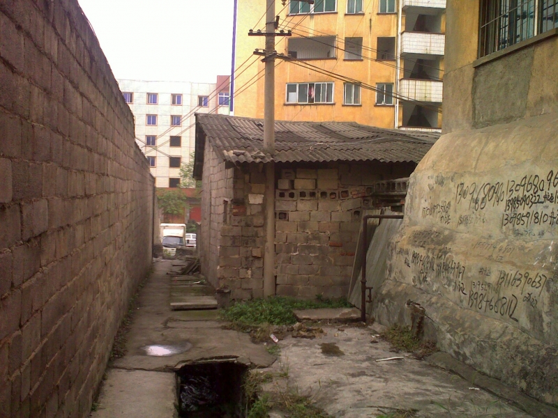 20110525217.jpg