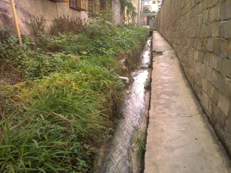 20110525218.jpg