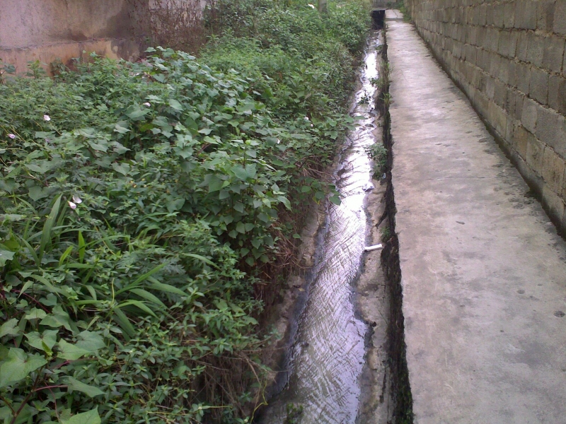 20110525219.jpg