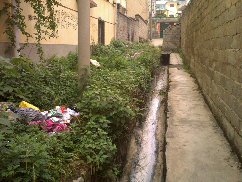 20110525221.jpg