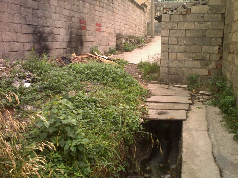 20110525224.jpg