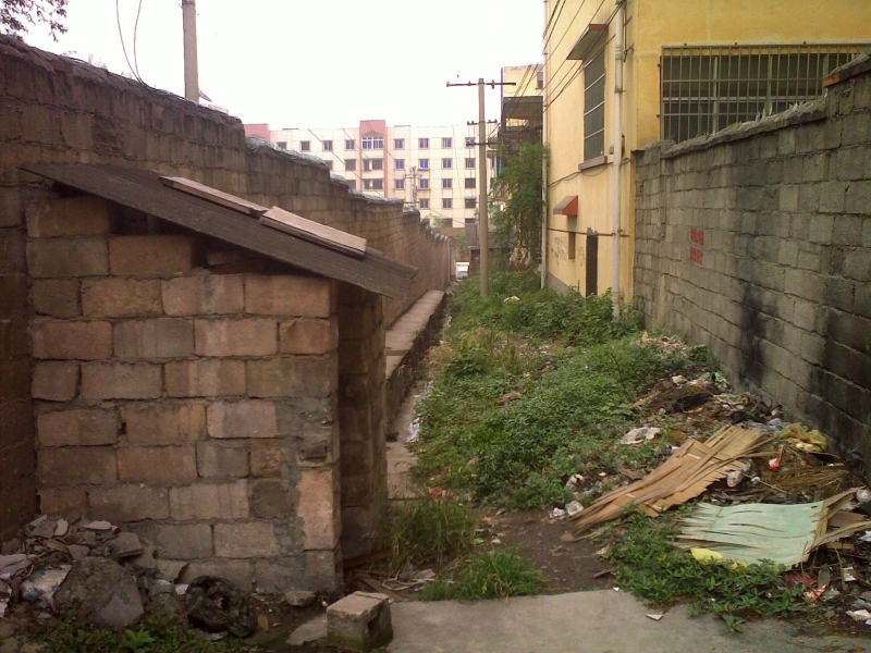 20110525225.jpg