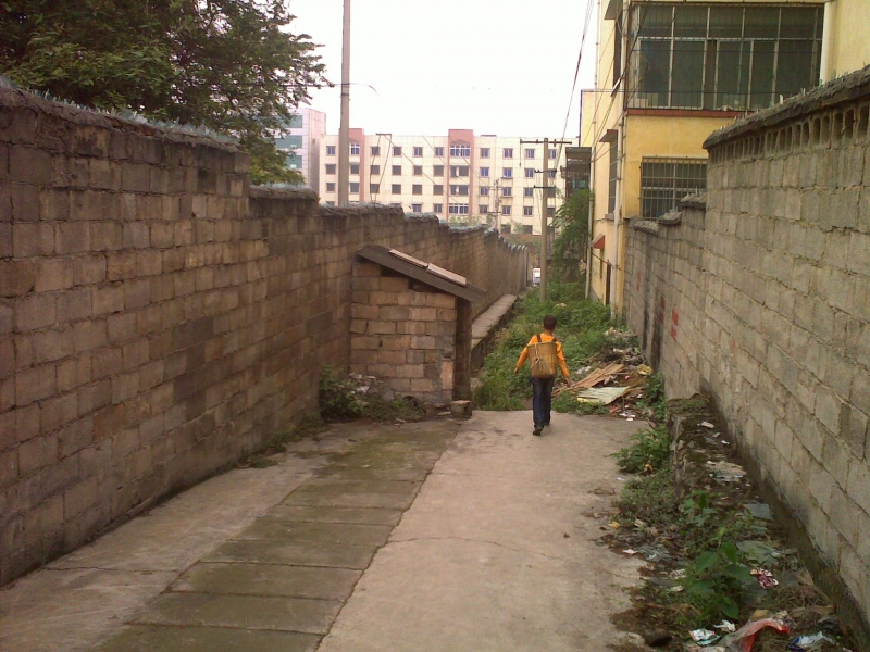 20110525226.jpg