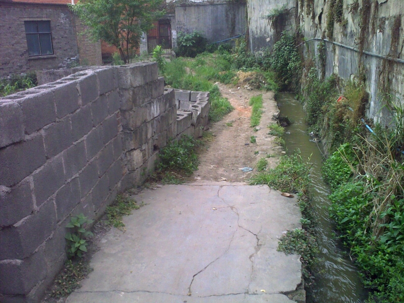 20110505121.jpg