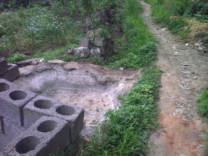 20110505123.jpg