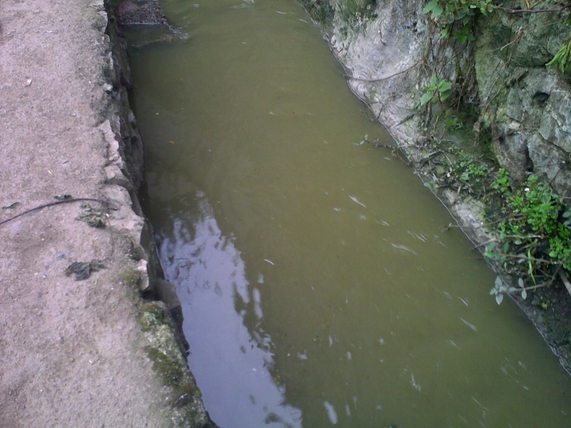 20110505124.jpg