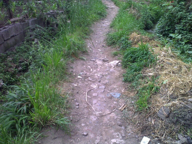 20110505125.jpg