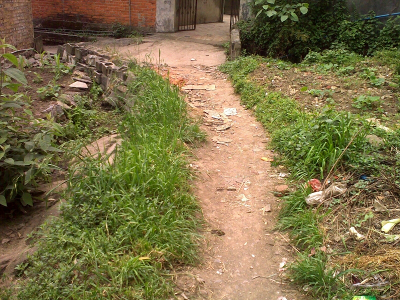 20110505127.jpg