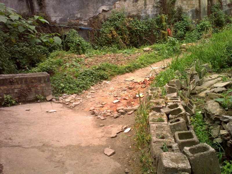 20110505130.jpg